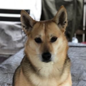 Meet your Posher, Rob